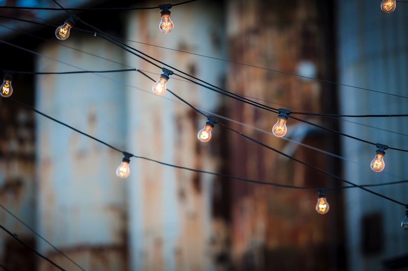 Novelty String Lights